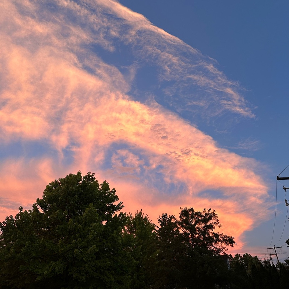 Meet your Posher, Meg